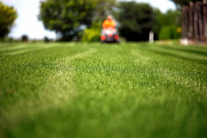 Lawn mowing: 9 main issues