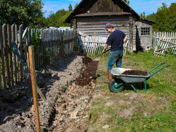 Preparation of the soil. Illustration for an article is used for a standard license © ofazende.ru