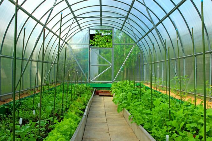 Making the beds in the greenhouse: 5 decent options