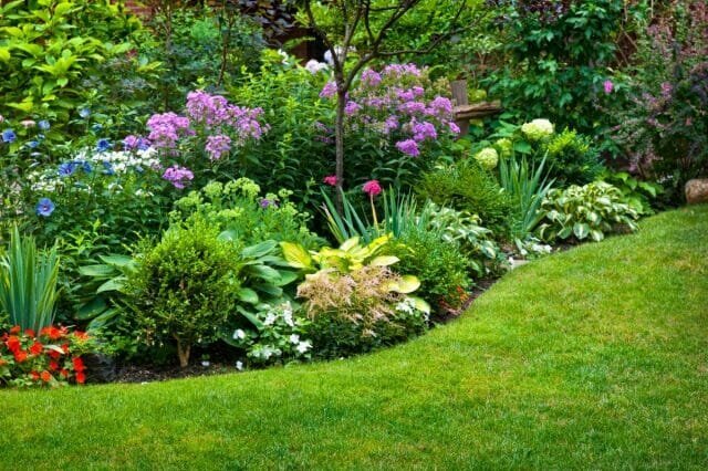 Rhythmic techniques for flowerbeds and mixborders