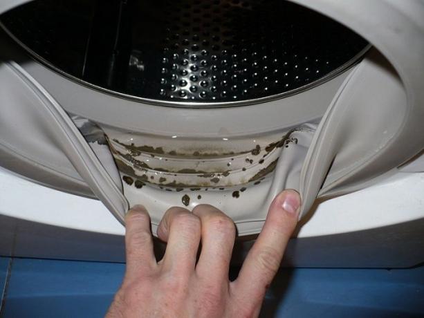 How to get rid of mold and musty smell in the washing machine