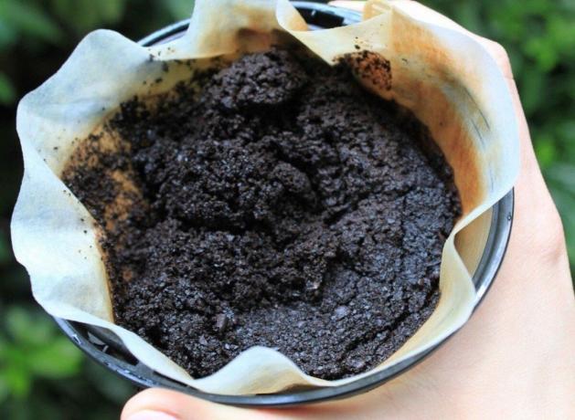 Why I strongly advise you not to fertilize the garden and orchard old tea bags and coffee grounds