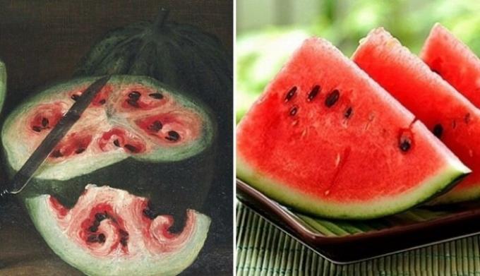  For several hundred years, the watermelon has changed dramatically.
