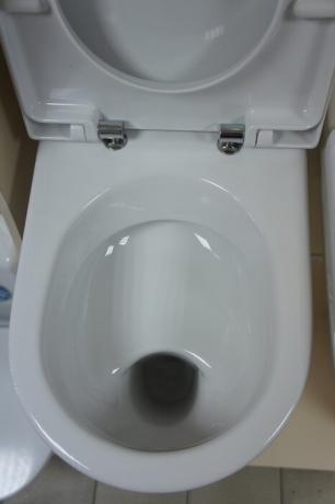 Toilet with a "shelf" or "plate".
