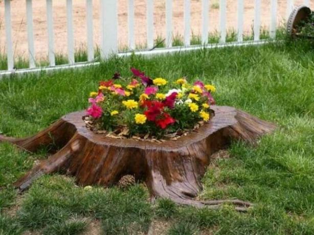 Decorate hemp. Professional advice: how to decorate a tree stump in the garden with his own hands