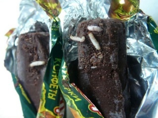 Moth larvae in candy