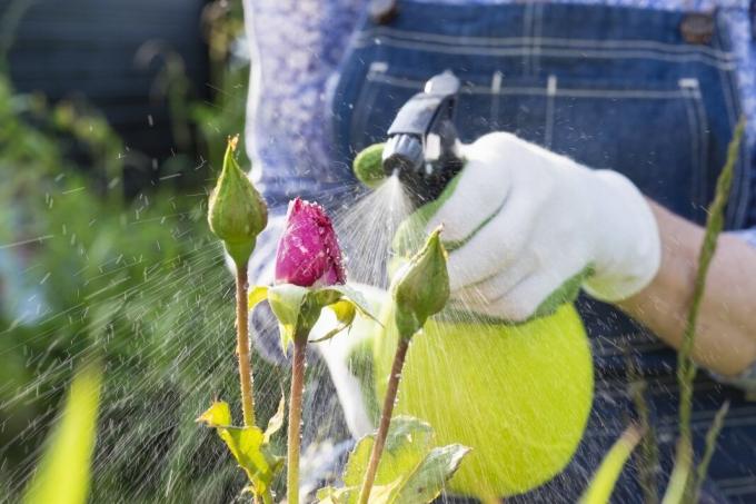 6 errors at their summer cottage pesticide application