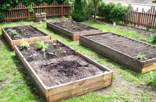 How to improve the clay soil in the garden without large financial investments. My experience