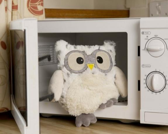 To keep warm during the cold season or hours of solitude, you just need to warm up a toy in the microwave. / Photo: cdn11.bigcommerce.com